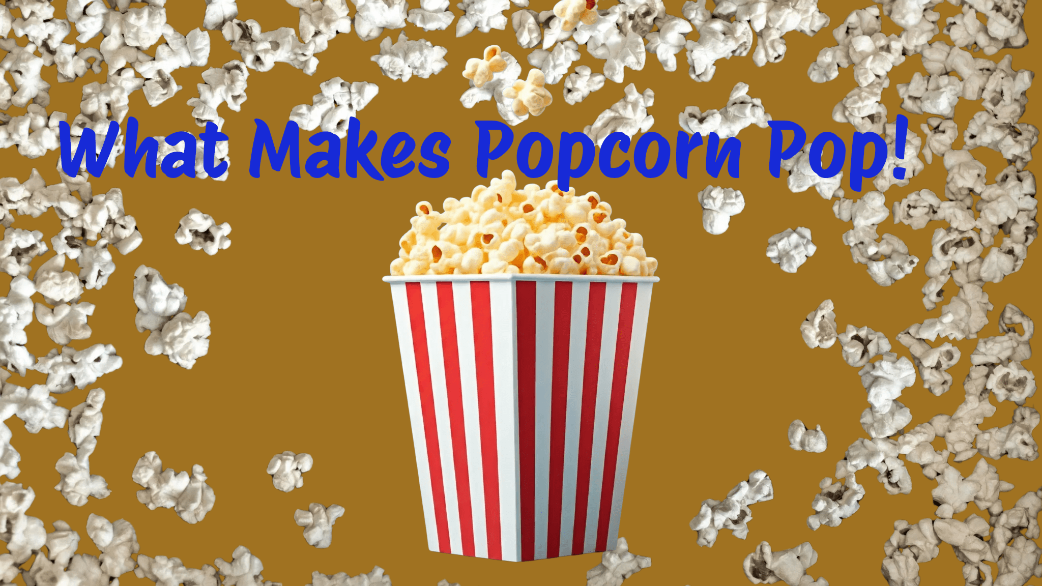 what makes popcorn pop