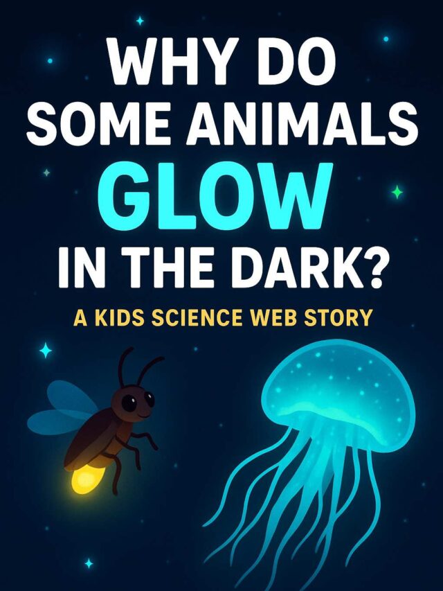 Why Do Some Animals Glow in the Dark? | Kids Science Web Story